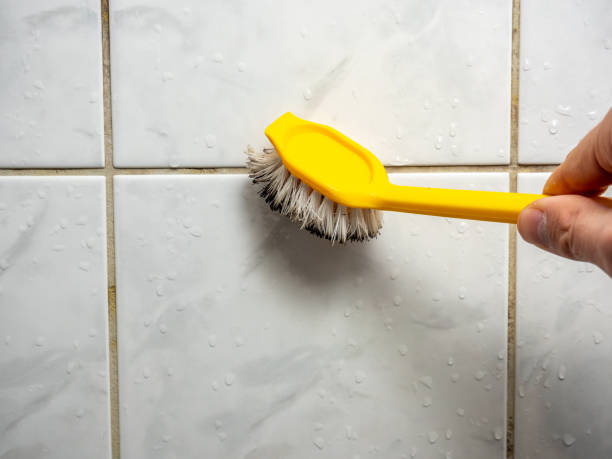 Best Best Mold Removal Companies  in Palm Valley, TX