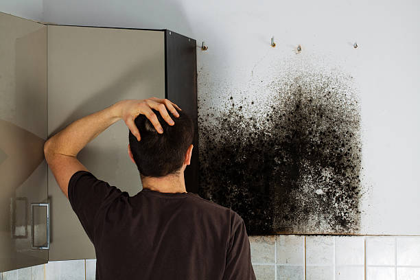 Best Mold Testing  in Palm Valley, TX
